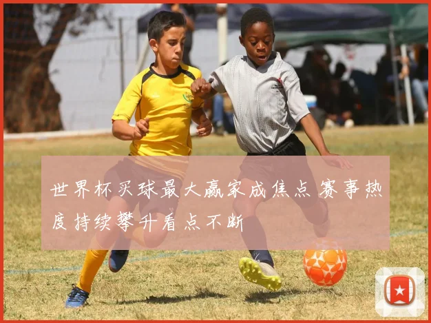 世界杯买球最大赢家成焦点 赛事热度持续攀升看点不断