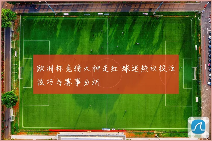 欧洲杯竞猜大神走红 球迷热议投注技巧与赛事分析