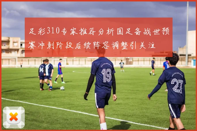 足彩310专家推荐分析国足备战世预赛冲刺阶段后续阵容调整引关注