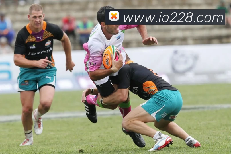 多媒体互动体验